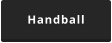 Handball